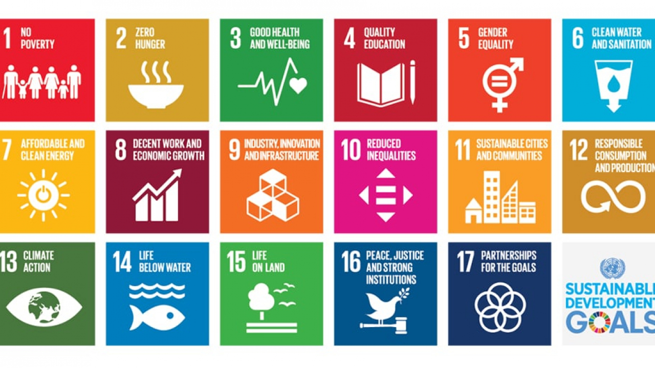 MUSYAWARAH DESA TENTANG PENETAPAN PEMUTAKHIRAN SDGS DESA KALIPELUS